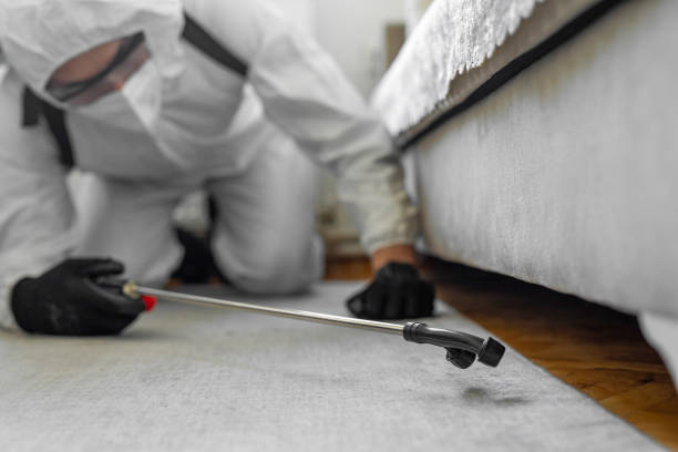 Professional Termite Control technician working in Tallassee, AL