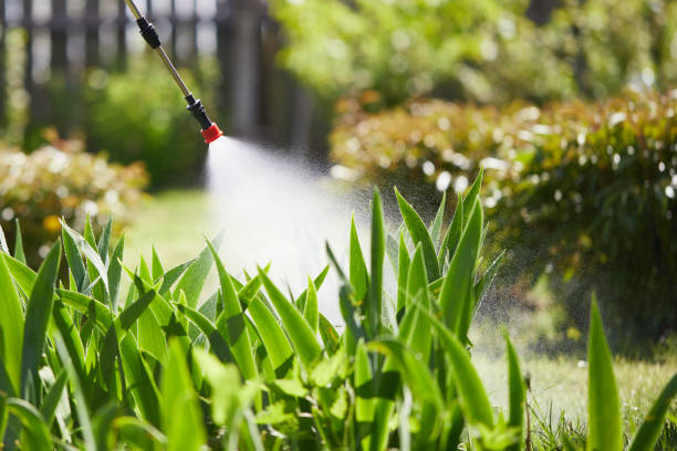 24/7 Emergency Termite Control experts in Tallassee, AL