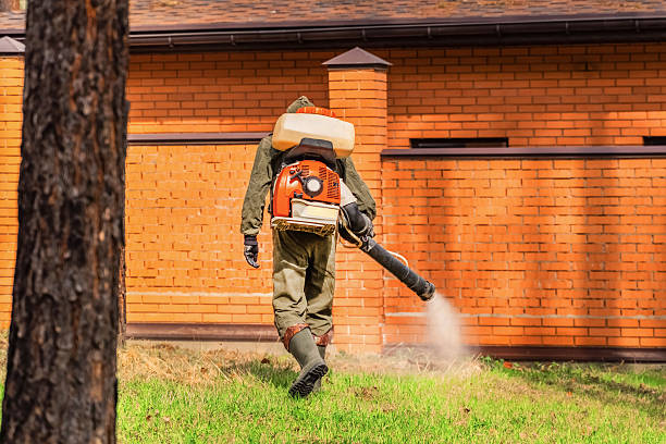 Trusted Termite Control service in Tallassee, AL - Nex Pest Control
